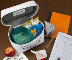 periodic table lunch bag