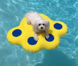 puncture resistant dog pool float