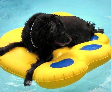 puncture resistant dog pool float inflatable