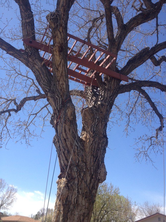 secure-treehouse-platform-in-tree