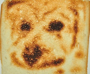 selfie toaster burnt dog