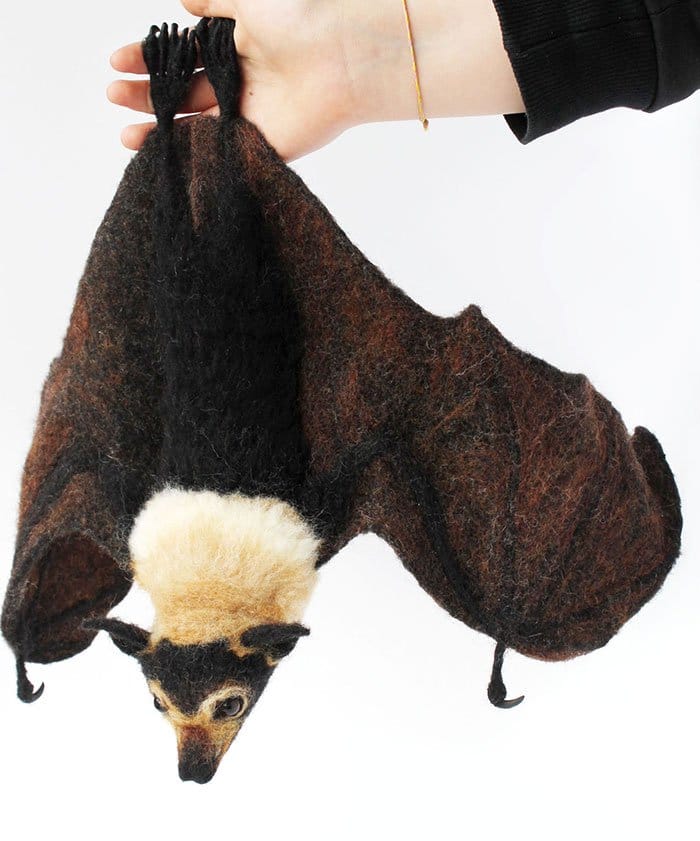 spectacled flying fox