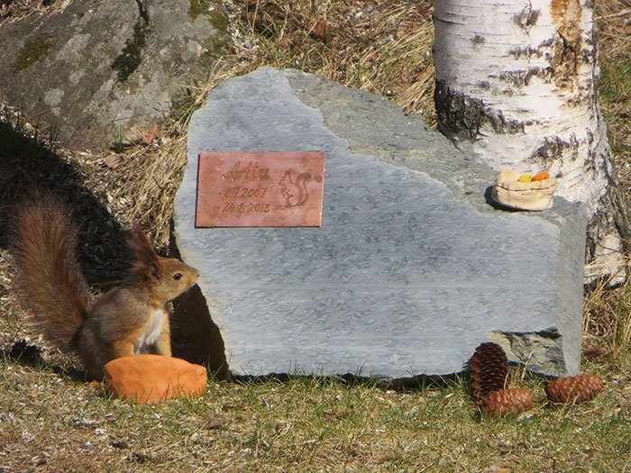 squirrel-memorial