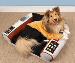 star trek dog bed