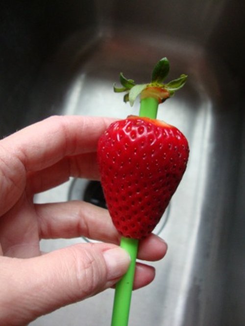 strawberry-straw