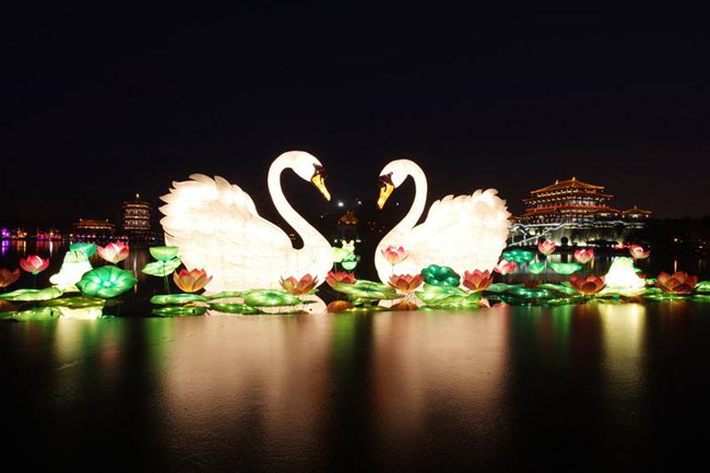 swan-chinese-lanterns