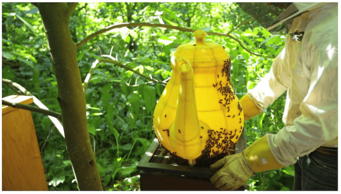 teapot-honeycomb-sculpture