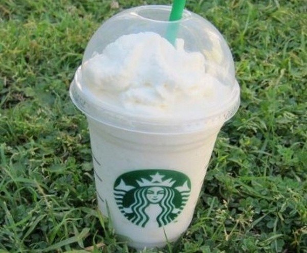 teddy graham frappuccino