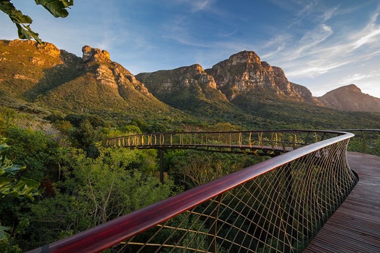 tree-canopy-walkway-mount