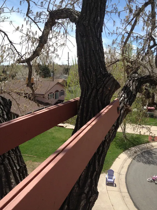 treehouse-secure-beams