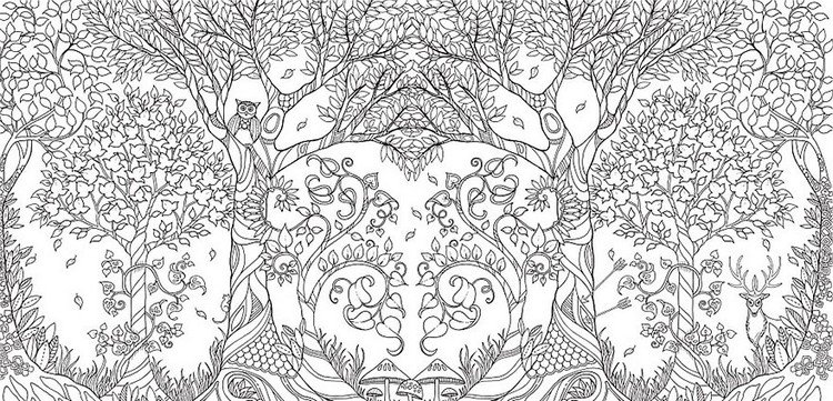 uncolored forest