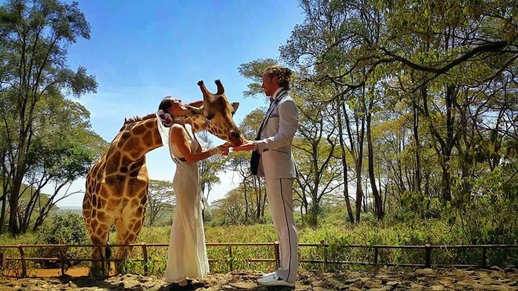 wedding-nairobi