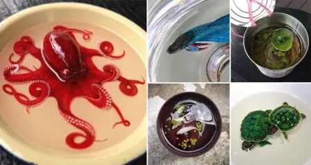 3D Animals Painted Into Resin