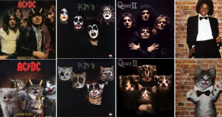 Album Covers Recreated Kittens