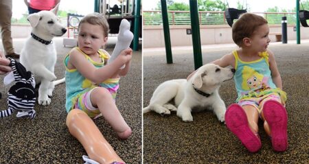 Amputee Girl And Puppy