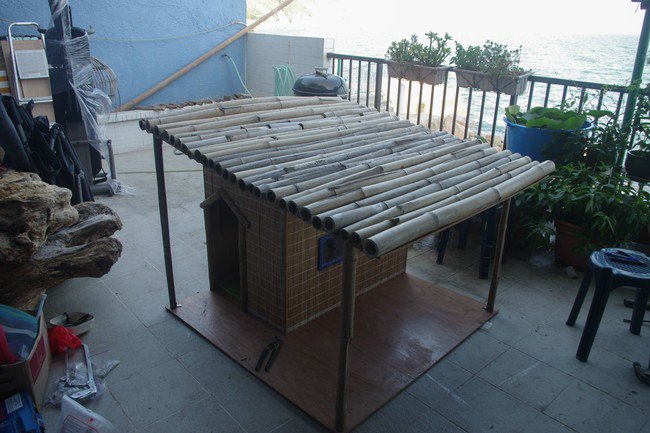 Bamboo Roof