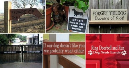 funny Beware Of Dog Signs