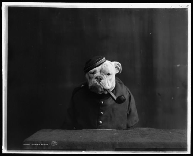 Bulldogs-1905-officer