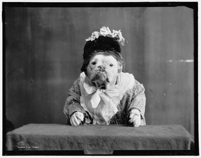 Bulldogs-1905-woman