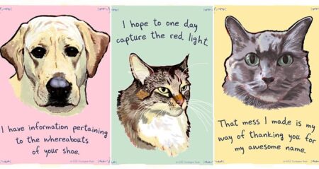 Cats And Dogs Confessions