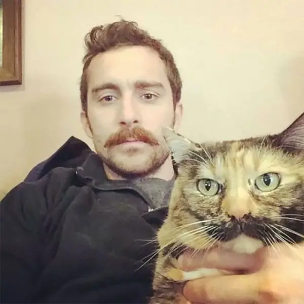 Cat Moustache