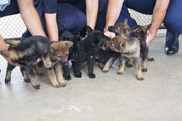 Group Photo