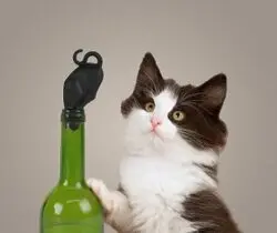 Kitty Wine Bottle Stopper