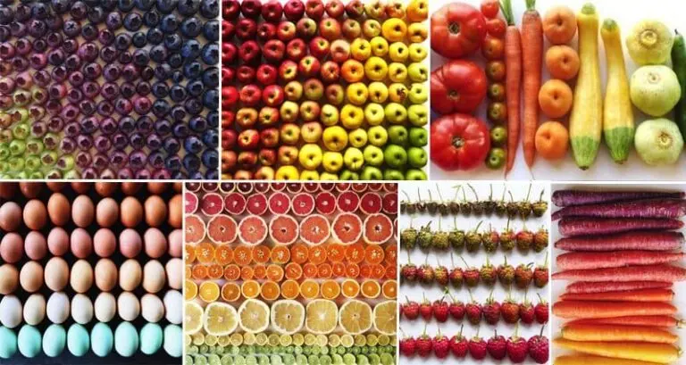 Photographer Ceates Images Of Food Color Gradients