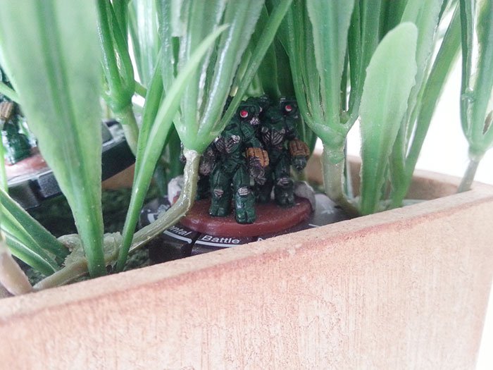 Toy In Plant