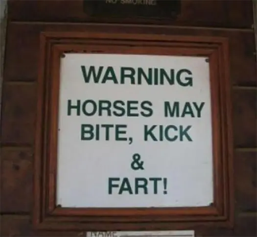 Warning Horses