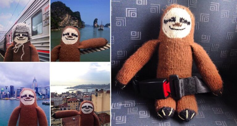 Woolen Sloth World Tour
