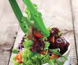 alligator salad tongs