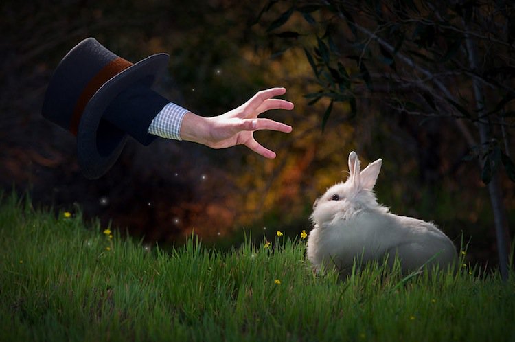 animated-rabbit
