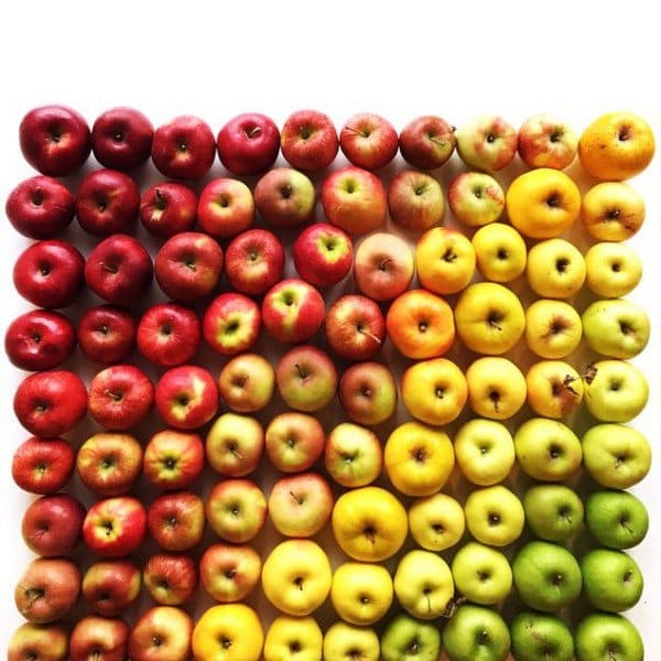 apples