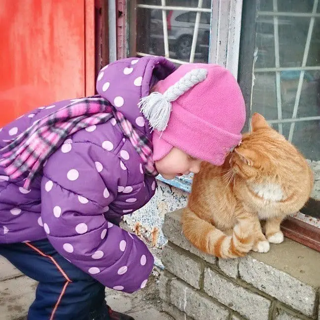 baby cat snuggles