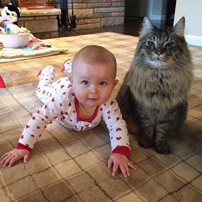 baby necklace proud cat