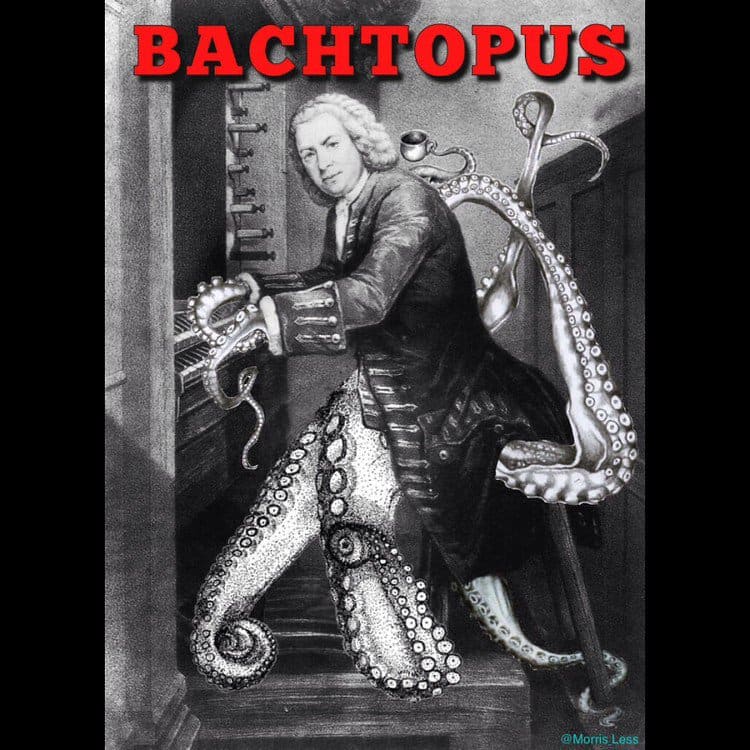 bachtopus