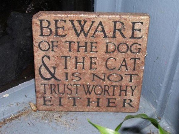 beware of dog and cat sign