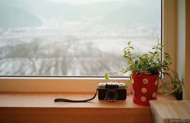 camera cafe camera plant window