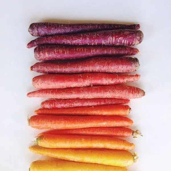 carrots