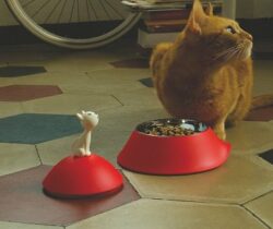 cat bowl with lid