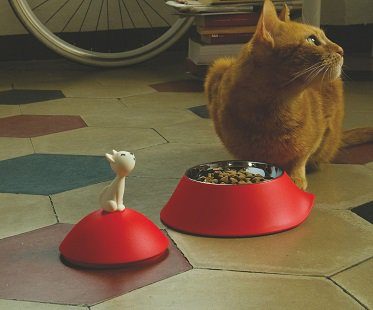 cat bowl with lid