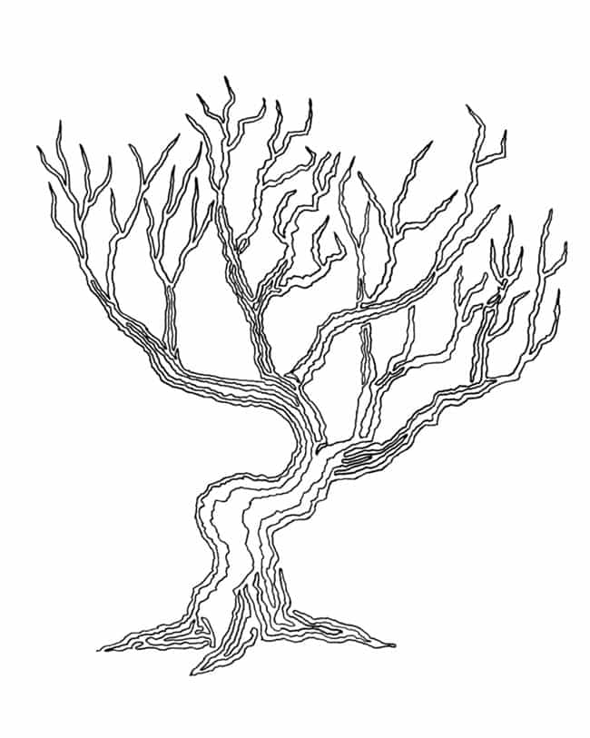 cory-casella-tree