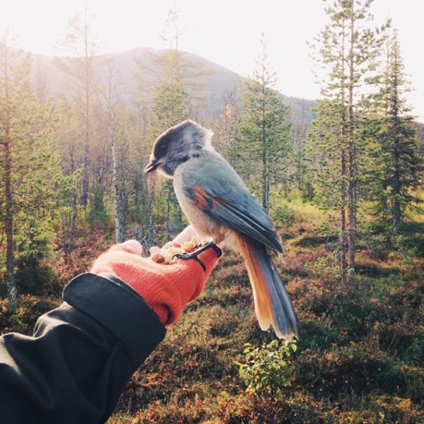 couple-traveling-around-world-photography-samuel-hildegunn-bird