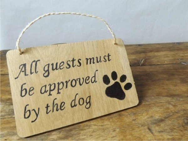 dog approval sign