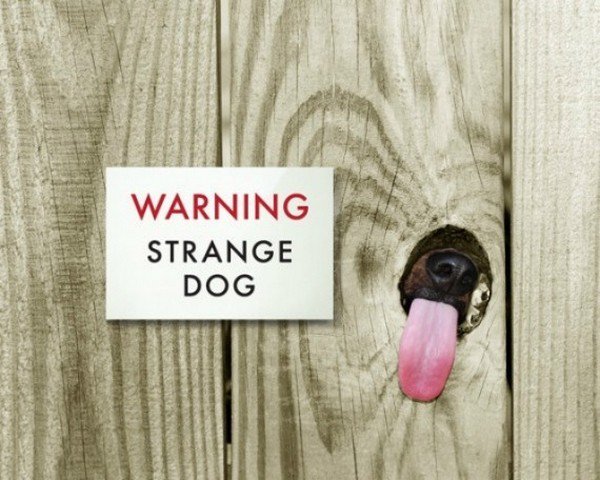 dog tongue fence strange