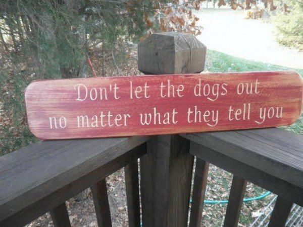 dont let dogs out