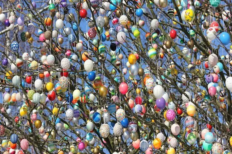 eggs hanging from tree