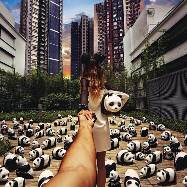 follow-pandas
