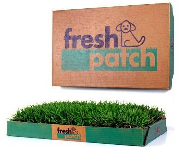 fresh grass disposable dog potty real